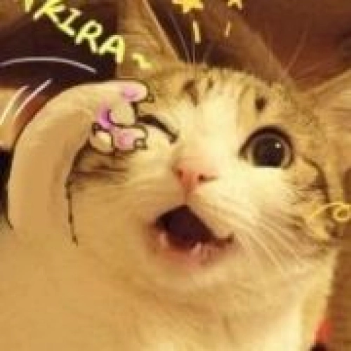用户头像